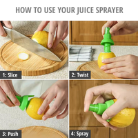 Citrus Juice Sprayer